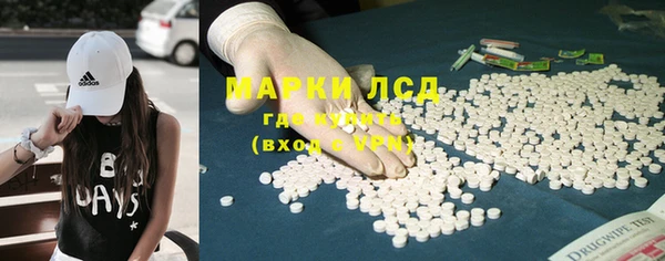 spice Аркадак