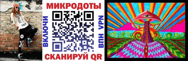 Псилоцибиновые грибы Psilocybe  Порхов 